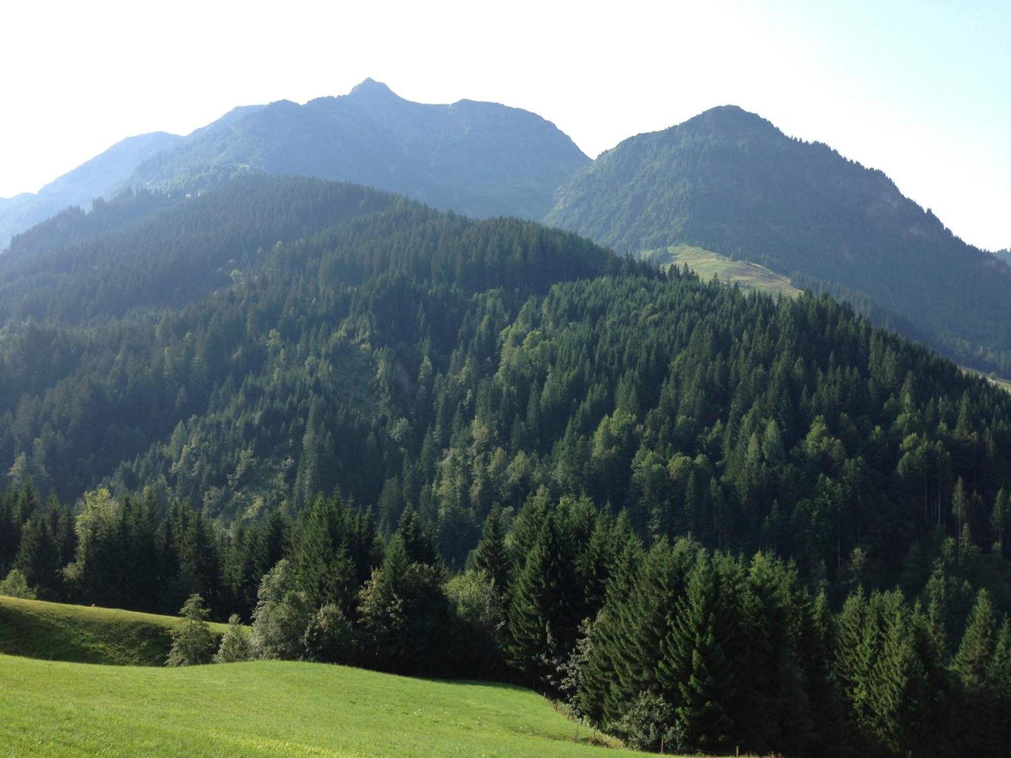 Apartamento Hinterreith-Hof Hochfilzen Exterior foto